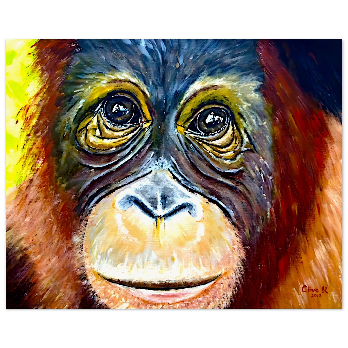 Orang-Utan-Augen || Poster aus mattem Papier in Museumsqualität