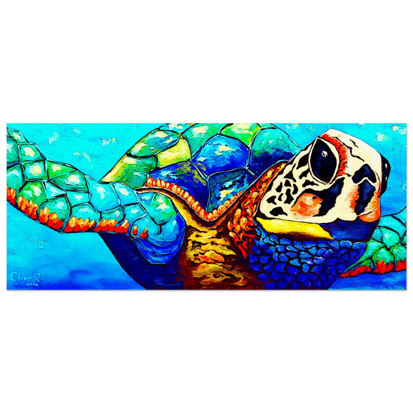 Tropische Schildkröte || Poster aus mattem Papier in Museumsqualität