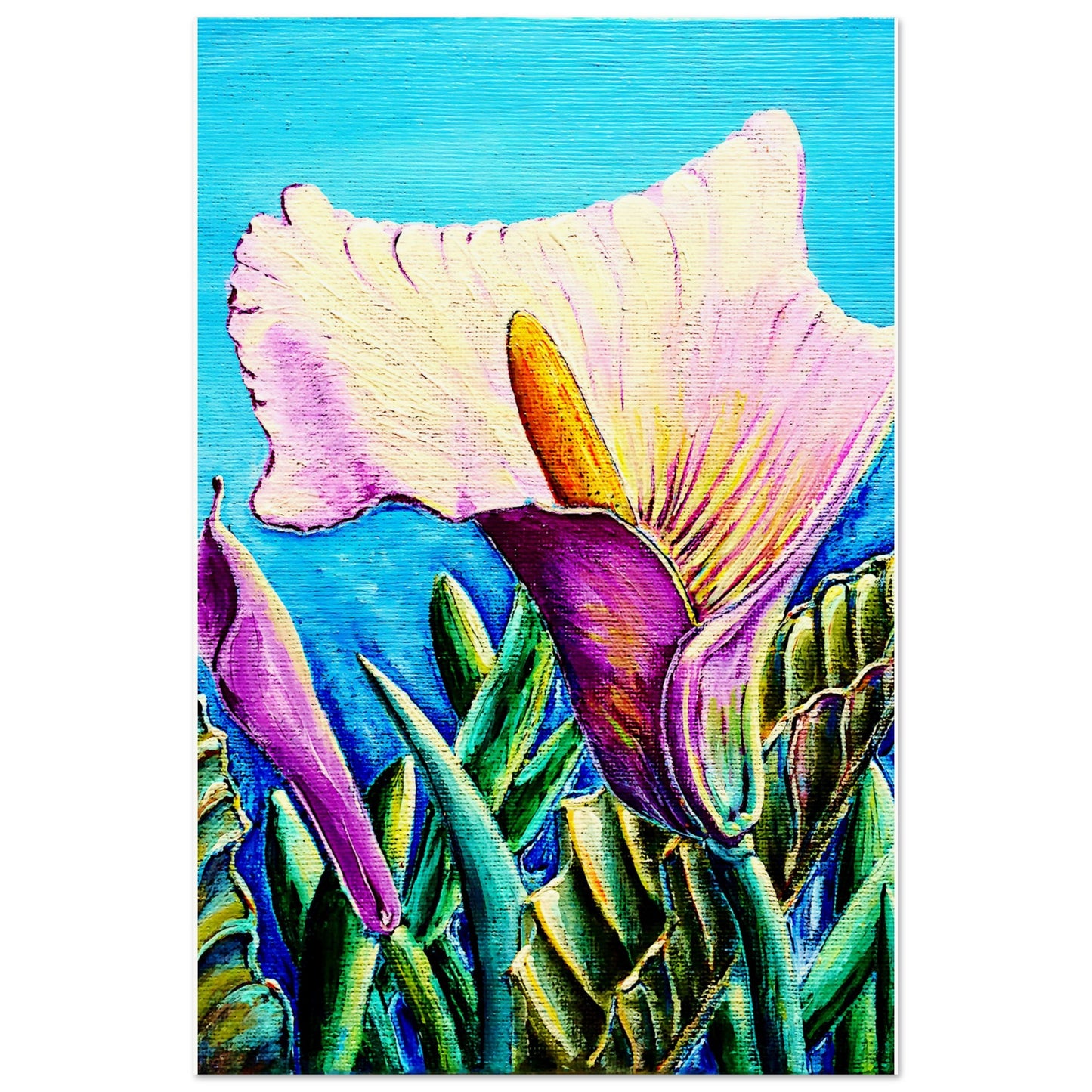 Spanische Calla Lilly || Poster aus mattem Papier in Museumsqualität