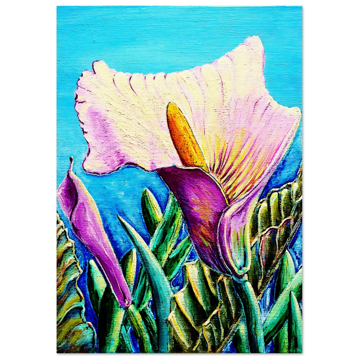 Cala Lilly española || Póster de papel mate con calidad de museo