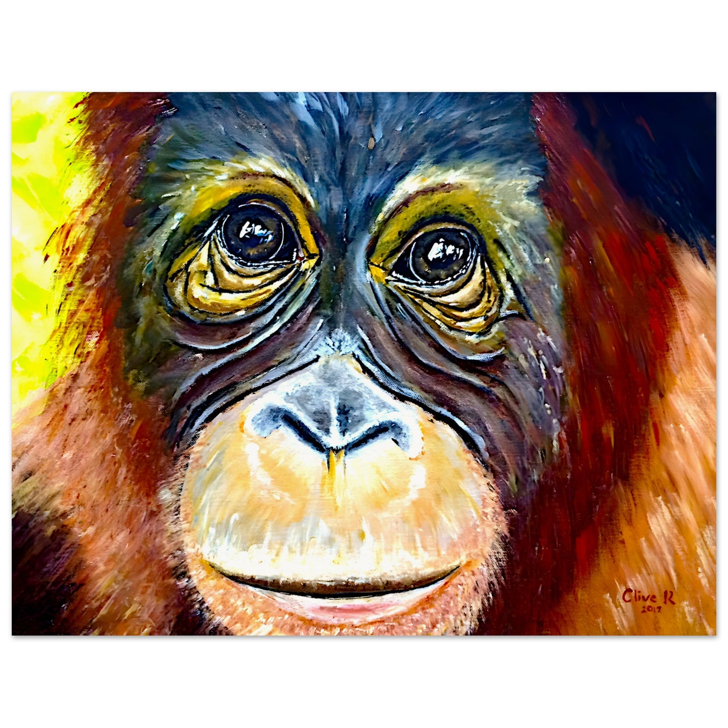 Ojos de orangután || Póster de papel mate con calidad de museo